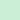 SURF GREEN