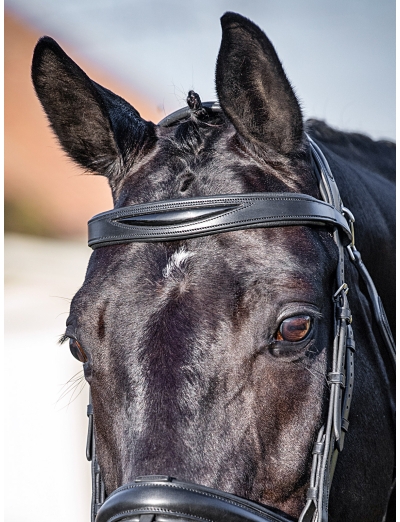 FRONTALINO SHAPE CON INSERTO NERO LUCIDO   NERO