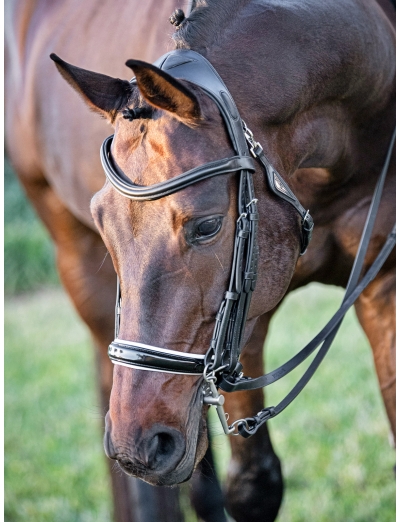 READY TO RIDE- DRESSURZAUM SCHWARZ