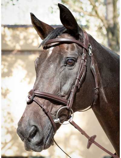 MARRON FILET D'OBSTACLE "READY TO RIDE"