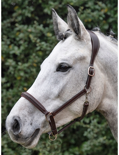 BROWN LEATHER SAFETY HALTER