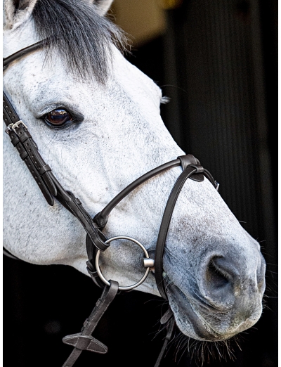 BLACK ROUNDED NOSEBAND WITH REMOVABLE FLASH STRAP