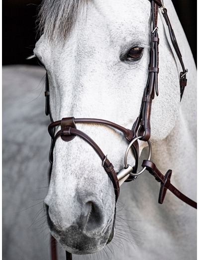 MARRON  MUSEROLLE ARRONDIE AVEC NOSEBAND AMOVIBLE