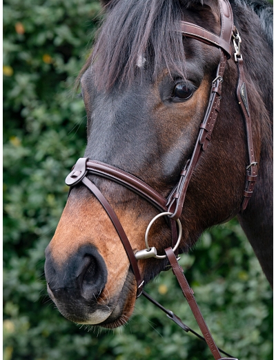MARRON MUSEROLLE ARRONDIE LÉGÈREMENT REMBOURRÉE AVEC NOSEBAND AMOVIBLE