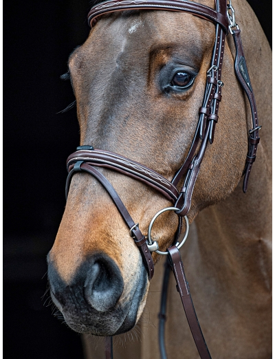 MARRON MUSEROLLE AVEC BOUCLE EN CAOUTCHOUC AMOVIBLE POUR LE PASSAGE DU NOSEBAND