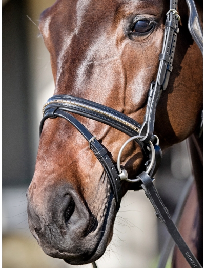 BLACK MATCHING LINED CRANK NOSEBAND WITH GOLD CLINCHER