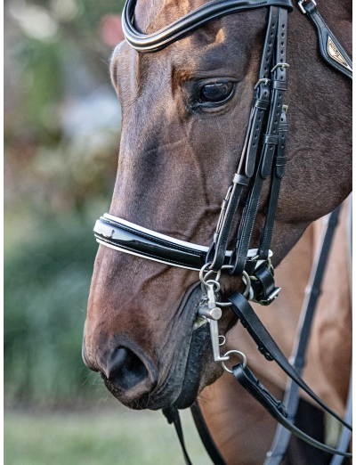 NOIR MUSEROLLE SUÉDOISE VERNIE SOUPLE AVEC DOUBLURE BLANCHE ET SANS NOSEBAND