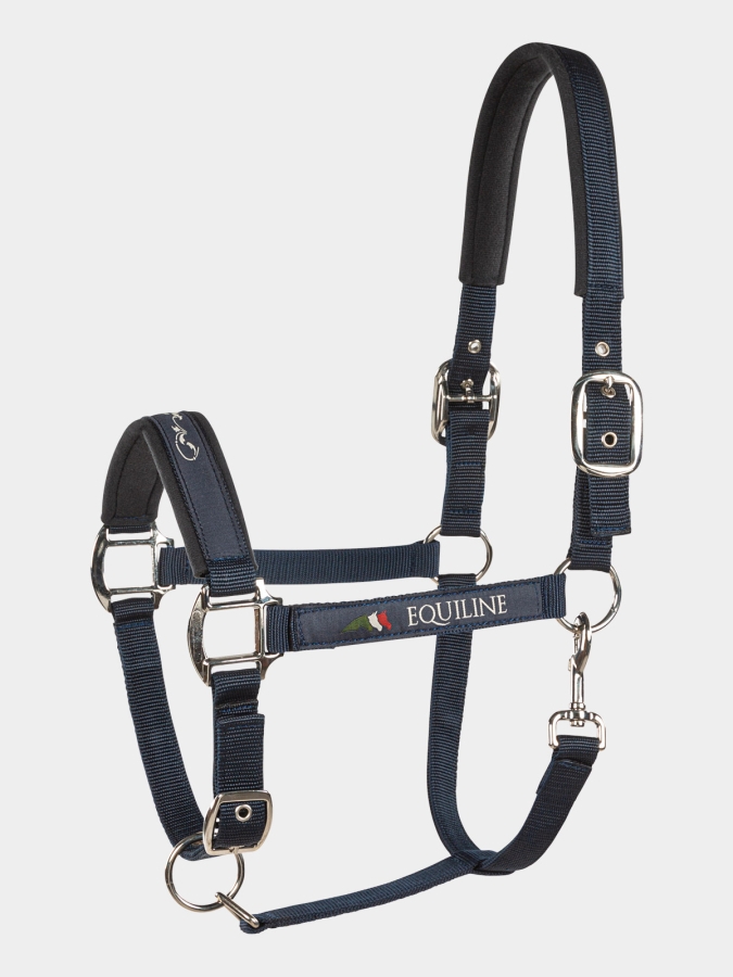 TIMOTHY - pony halter blue