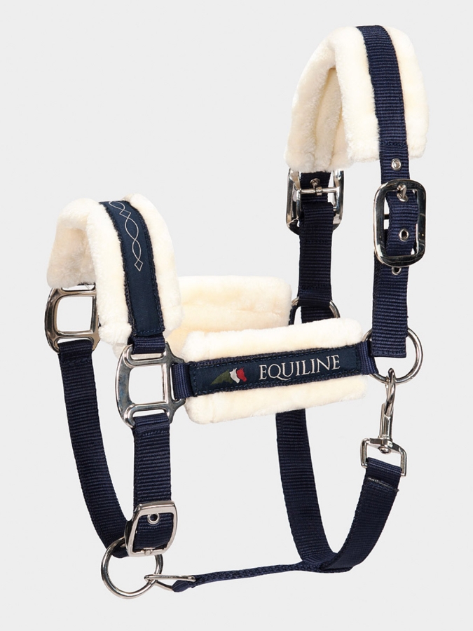TOM - capezza agnello blu