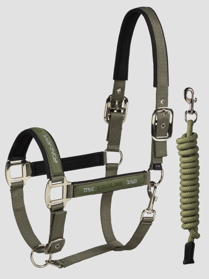 Ensemble de licou et longe Loden Green avec microclous ton sur ton
