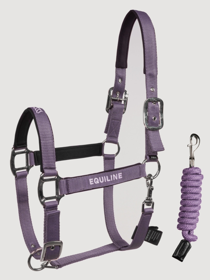 Set de longe et licou Mauve