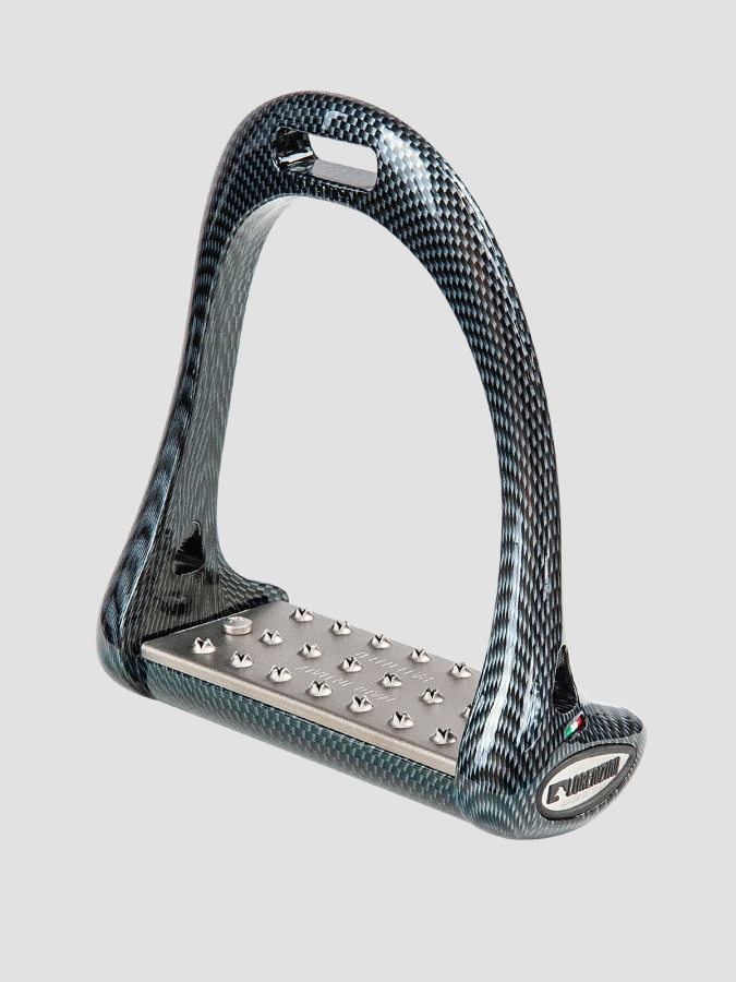 COPPIA STAFFE PANCA TITANIO 5CM DRESSAGE CARBONIO