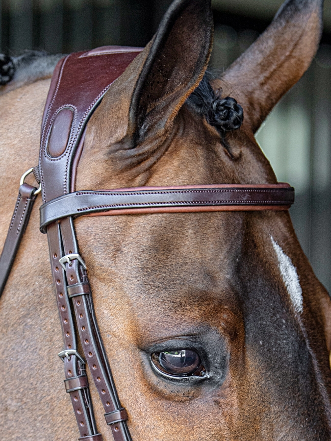 Frontalino piatto in pelle marrone