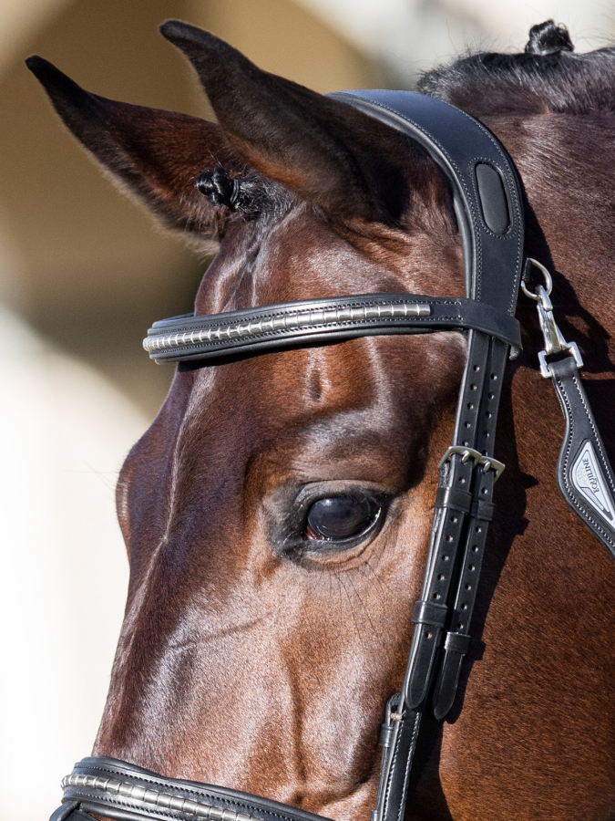 Frontalino con clincher argento nero
