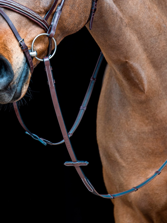 Marron rênes en cuir antidérapantes avec 7 arrêtoirs en cuir et arrêtoirs de martingale