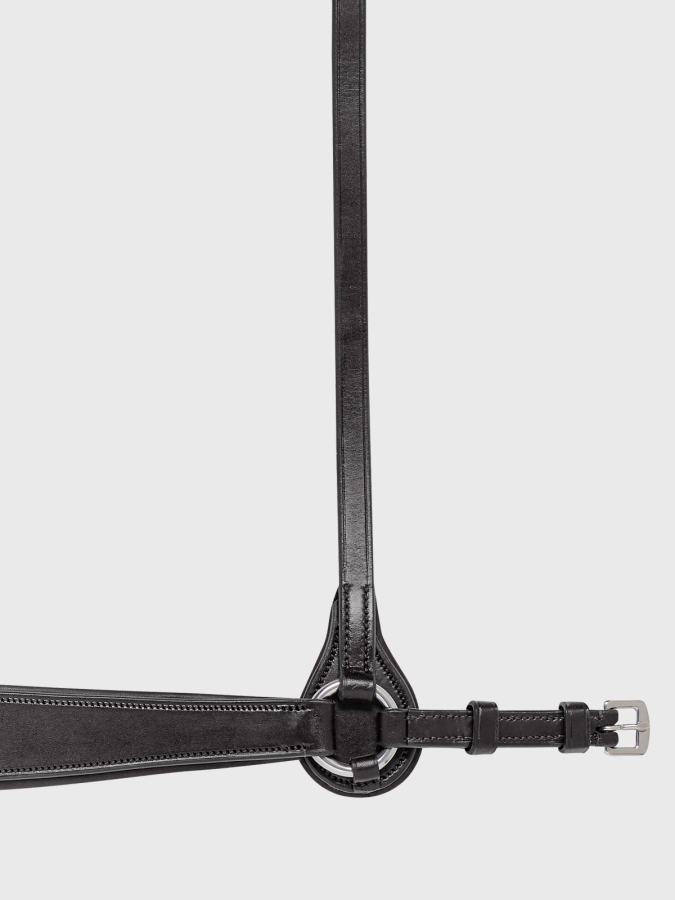 Capezzina hannoveriana nero