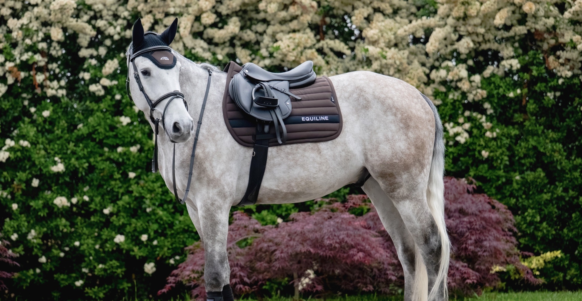 Equiline Collection Automne Hiver Cheval 2026