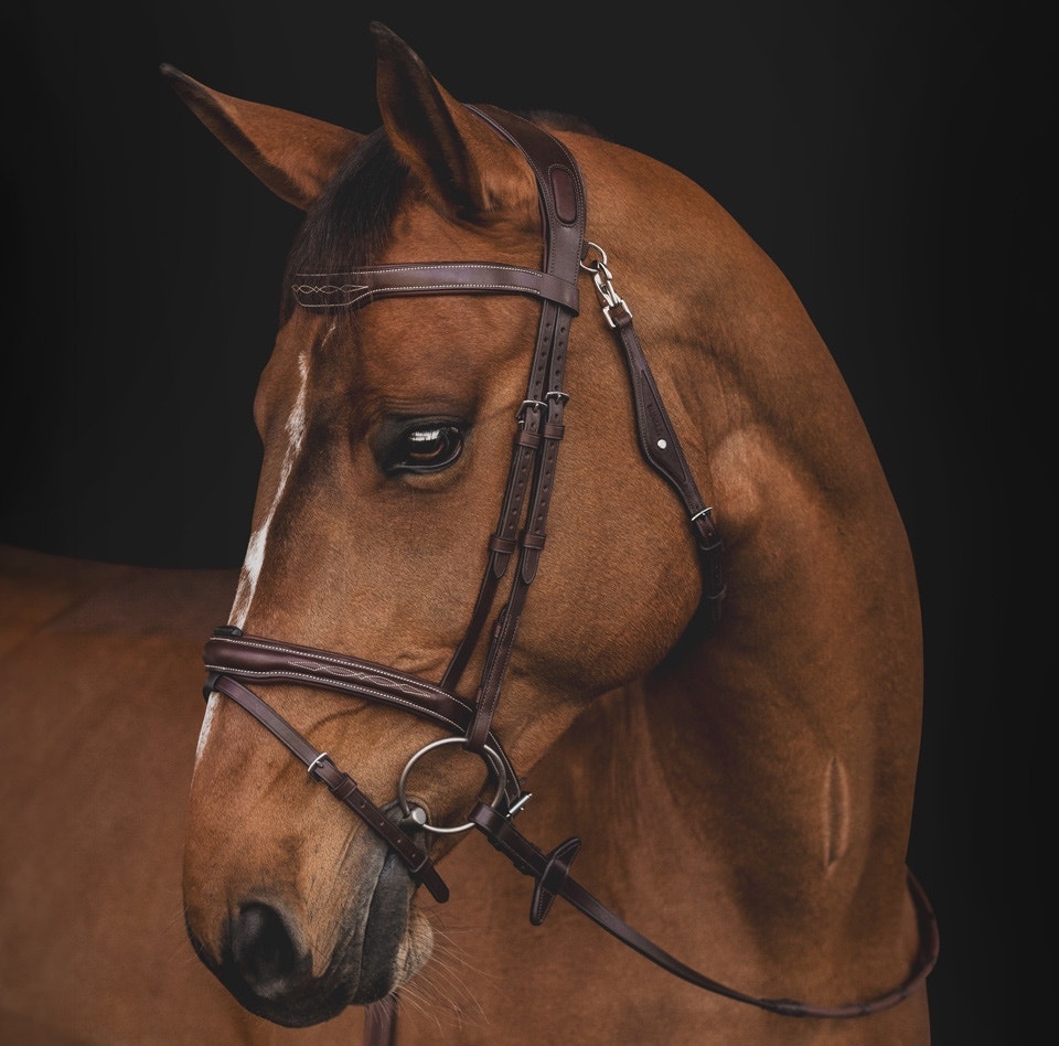 Equiline Fall-Winter 2026