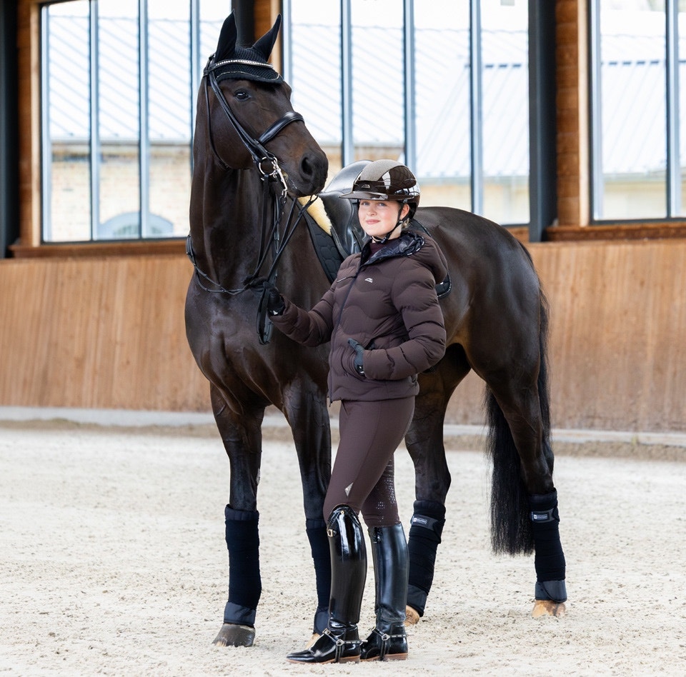Equiline Fall - Winter 26