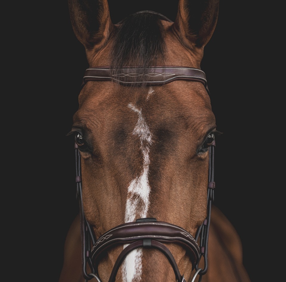 Testiere Equiline