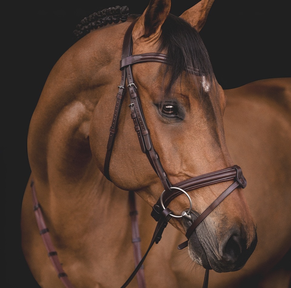 Testiere Equiline